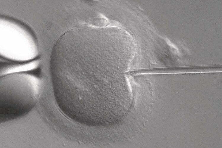Rođena prva beba iz zamrznutog embriona u GAK „Narodni front“
