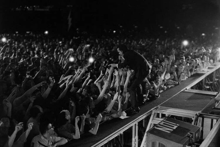 Rock@EXIT:Nick Cave, Sepultura, Napalm Death i The Exploited predvode gitarski zvuk festivala