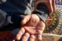 Ruma: Policija zaplenila sutomatske puške, pištolj, nastavak za tromblon i metke
