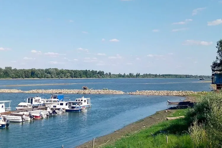 Stari Slankamen: Akcija čišćenja dela obale Dunava