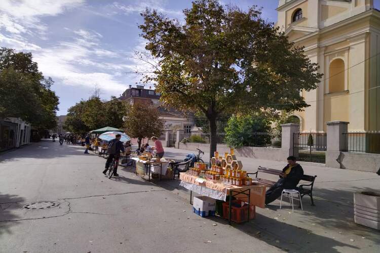 Danas se završava manifestacija „Dani meda“