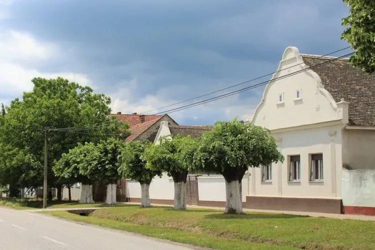 Novi Slankamen: Praznik rada pred rat u Vukovaru