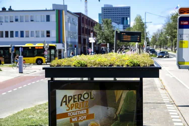 Primer Holandije koji može da primeni Inđija, zeleni krovovi autobuskih stajališta
