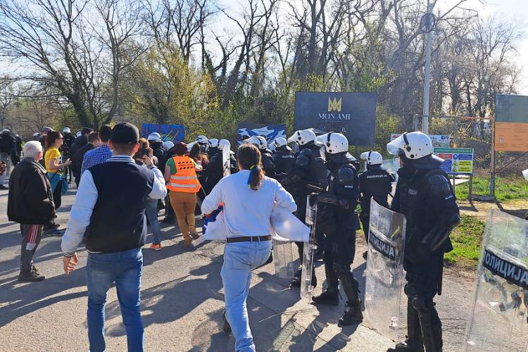 Novi Sad: Kordon policije od jutros obezbeđuje seču na Šodrošu