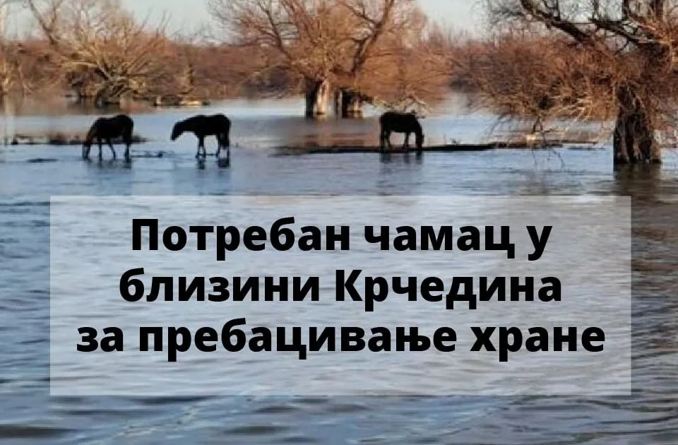 Eko straža: Potreban nam je čamac da se prebaci hrana namenjena konjima i stoci na Krčedinskoj adi