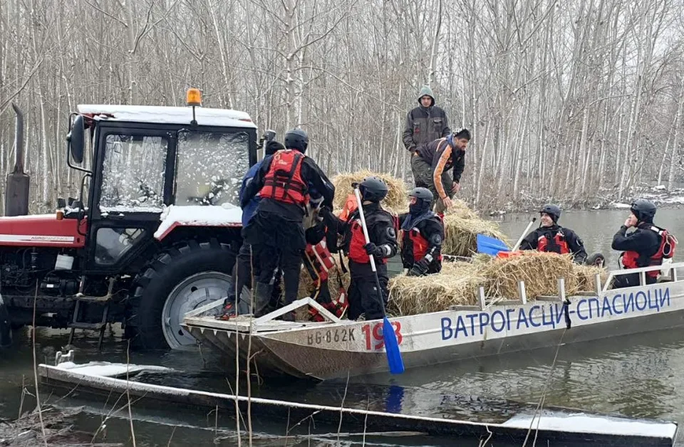 Krčedinska ada: Danas nastavak evakuacije novim brodom