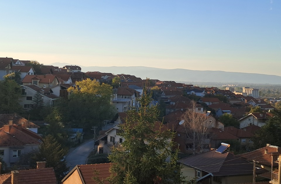 Bivša gradonačelnica Niša i tri osobe uhapšene zbog zloupotrebe službenog položaja