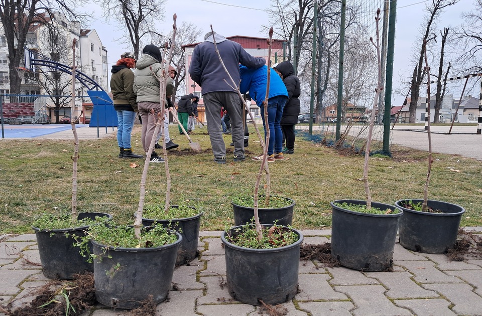 Kad nema šume, nema ni ljudi: Simboličan odziv na sadnju u Inđiji