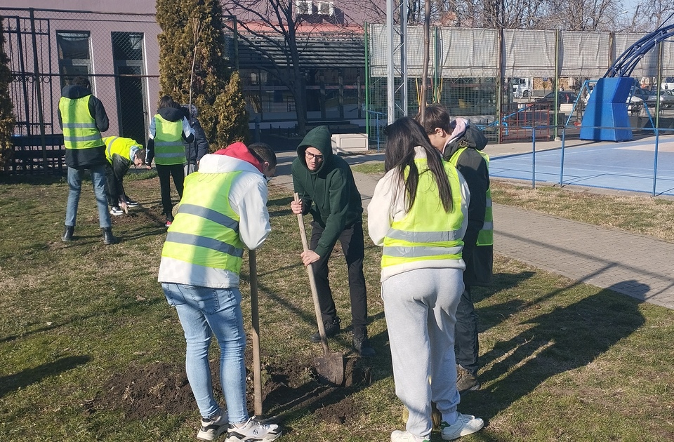 Akcija „Ne lomite nam bagrenje“: Studenti zasadili 15 stabala u Inđiji (VIDEO)