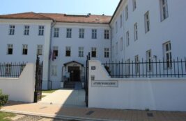 Građani nacrtali zebru ispred Arhiva Vojvodine – poruka direktoru te ustanove