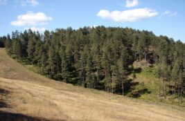 Zlatibor dobija aerodrom