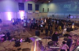 ICOMOS: Vinski park u Sirmiumu na mozaicima starim 1700 godina devastacija kulturnog dobra