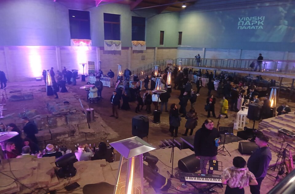 ICOMOS: Vinski park u Sirmiumu na mozaicima starim 1700 godina devastacija kulturnog dobra ICOMOS: Vinski park u Sirmiumu na mozaicima starim 1700 godina devastacija kulturnog dobra