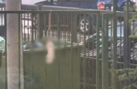 Pronađen obešen beli zec na ogradi novosadske gimnazije