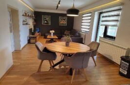 FOTO: Velike kuće za iznajmljivanje u Novom Sadu