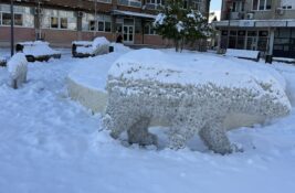 Ministar Glišić: Srbija brže od evropskih zemalja rešava probleme sa snegom