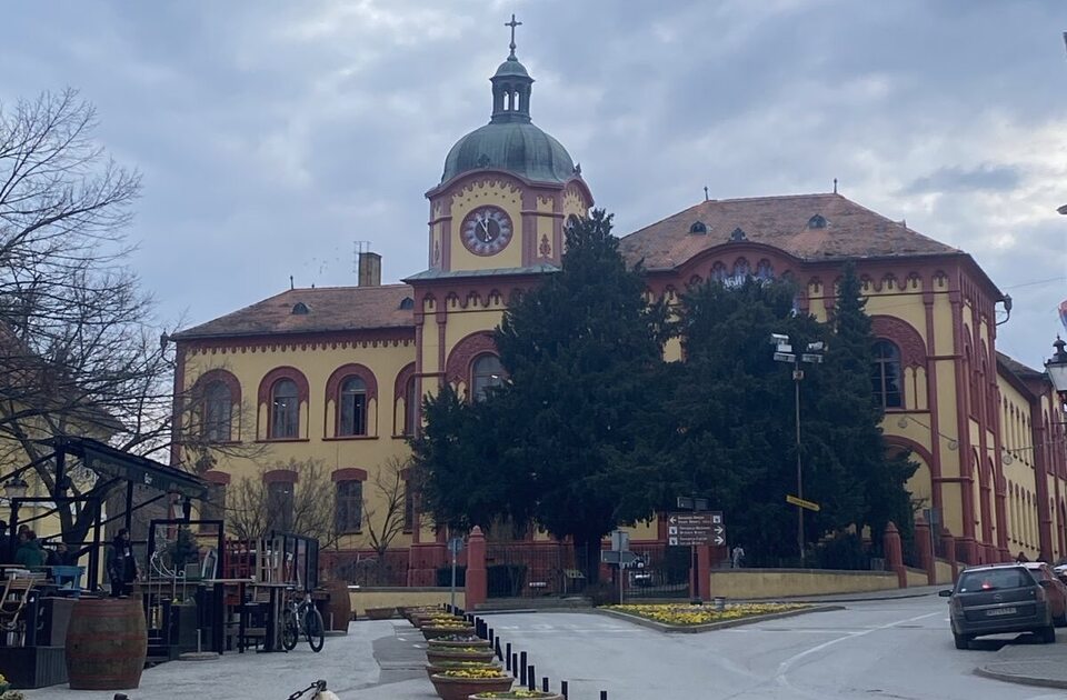 Đaci Karlovačke gimnazije rekli “ne”: hor napustio Svetosavsku priredbu zbog predsednika opštine