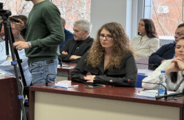 Ćaci iz Inđije: Milana Vuković dominira na TV dok u parlamentu samo diže ruke