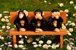 Masovna kupovina medija u gradovima u kojima se pripremaju lokalni izbori