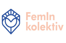 Feminističke organizacije: Sistem nagrađuje nasilnike, žene ostaju bez pravde