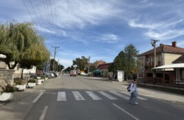 Opština Inđija planira 2 miliona dinara za dokumentaciju i opremanje parka koji ne postoji