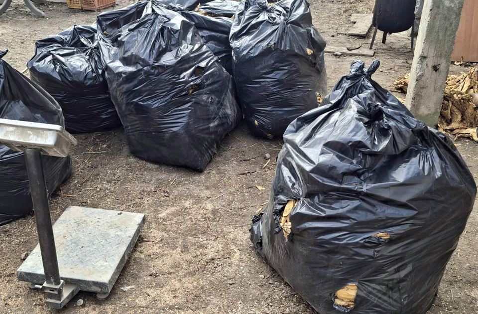 Velika zaplena duvana u Sremu: šteta za budžet skoro 5 miliona dinara Velika zaplena duvana u Sremu: šteta za budžet skoro 5 miliona dinara