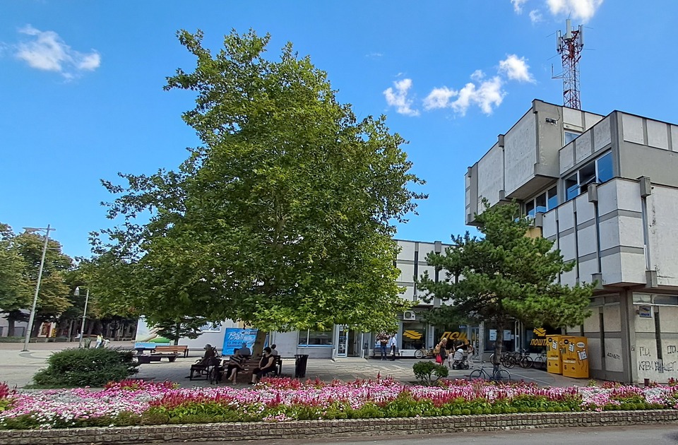 Za cveće 3 miliona : Dobavljač će saditi i održavati zasade, iako Inđija ima službu hortikulture Za cveće 3 miliona : Dobavljač će saditi i održavati zasade, iako Inđija ima službu hortikulture
