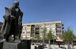 Batinaši u centru Inđije: Građani napadani, jedan muškarac odveden na krov zgrade