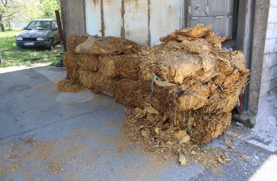MUP: Zaplenjeno više od 760 kilograma duvana kod Rume, šteta po budžet preko 6,3 miliona dinara