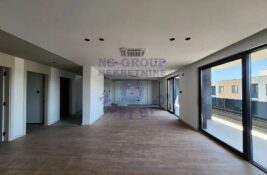 Od penthausa na Telepu do vikendice na Banstolu: Šta se prodaje u Novom Sadu?