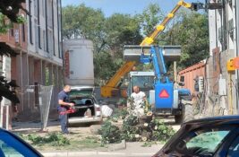Jedno drvo manje u centru Inđije, drvo na javnoj površini uklonjeno zbog ulaza u objekat