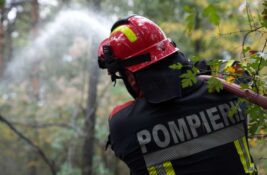 Nemački i rumunski vatrogasci pomažu u gašenju požara u Deliblatskoj peščari