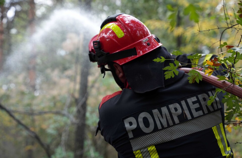 Nemački i rumunski vatrogasci pomažu u gašenju požara u Deliblatskoj peščari