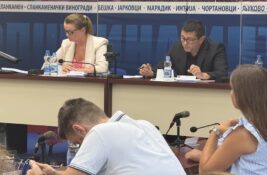 Pred odbornicima pomoć porodicama dece obolele od teških bolesti i promene u upravnim odborima