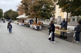 Počeli „Dani meda“ u Inđiji: Pčelari izložili med i pčelinje proizvode