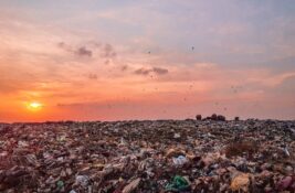 Regionalne deponije godinama u planovima: Novi Sad čeka sistem, Inđija već dve decenije „Ingrin“